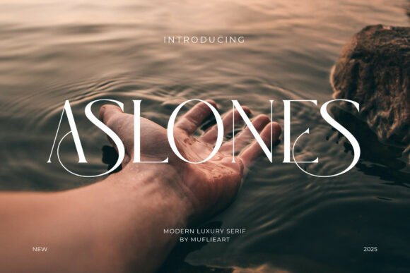 Aslones: Crafting an Unforgettable Brand Identity